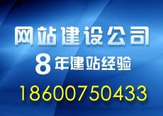 洋桥专业网站建设花乡专业美工设计